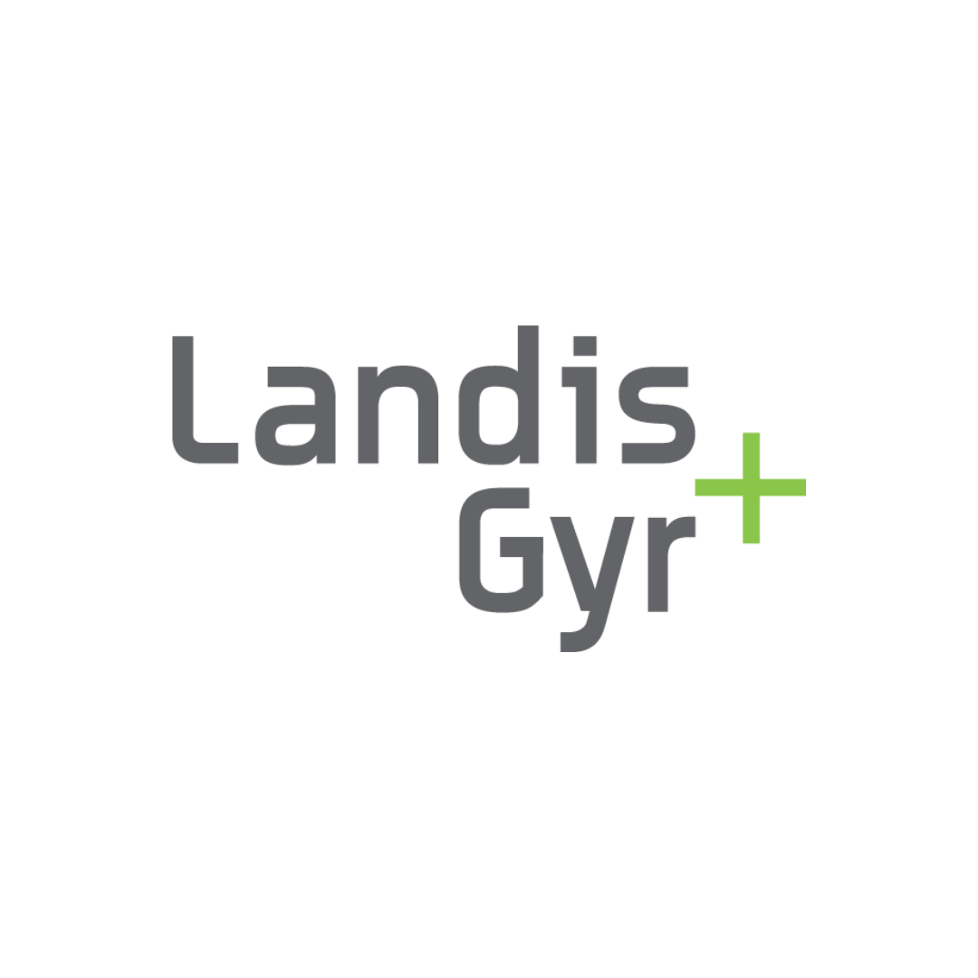 the Landis+Gyr team